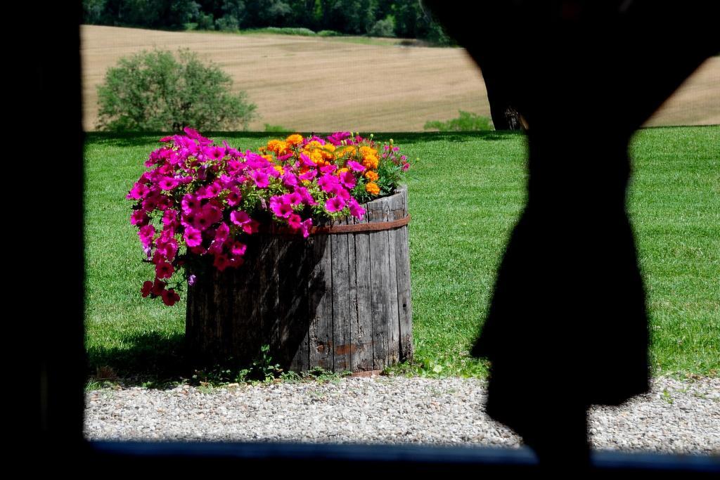Agriturismo Castello Saltemnano Буонконвенто Номер фото
