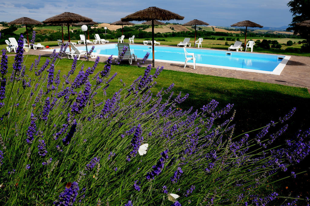 Agriturismo Castello Saltemnano Буонконвенто Экстерьер фото